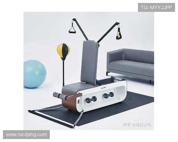 飞鸟家用健身设备小型化设计释放空间 飞鸟家用健身设备小型化设计释放空间