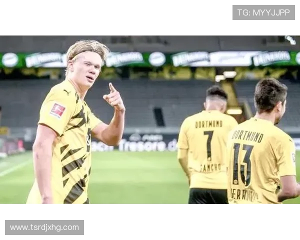 哈兰德加盟德甲球队的影响与表现分析 哈兰德加盟德甲球队的影响与表现分析