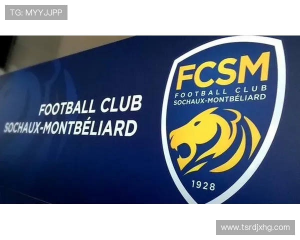 法甲外援赛季影响评估及其对球队战绩的贡献 法甲外援赛季影响评估及其对球队战绩的贡献