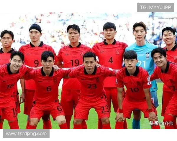 英超球队中韩国球员的详细资料及贡献