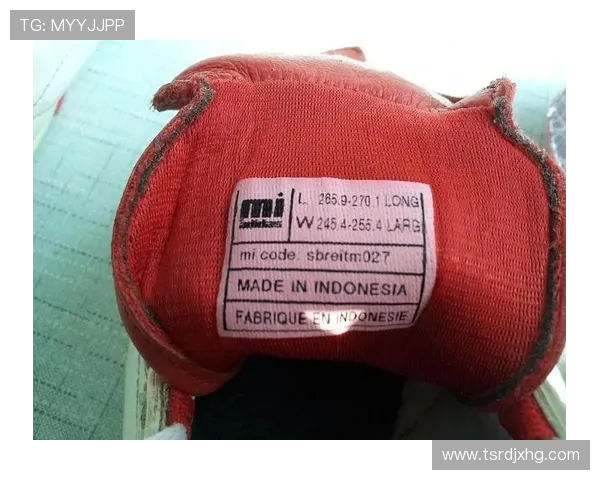 阿迪达斯合作的德甲俱乐部列表